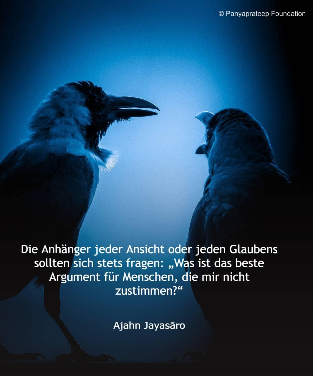 Ansichten und Argumente
