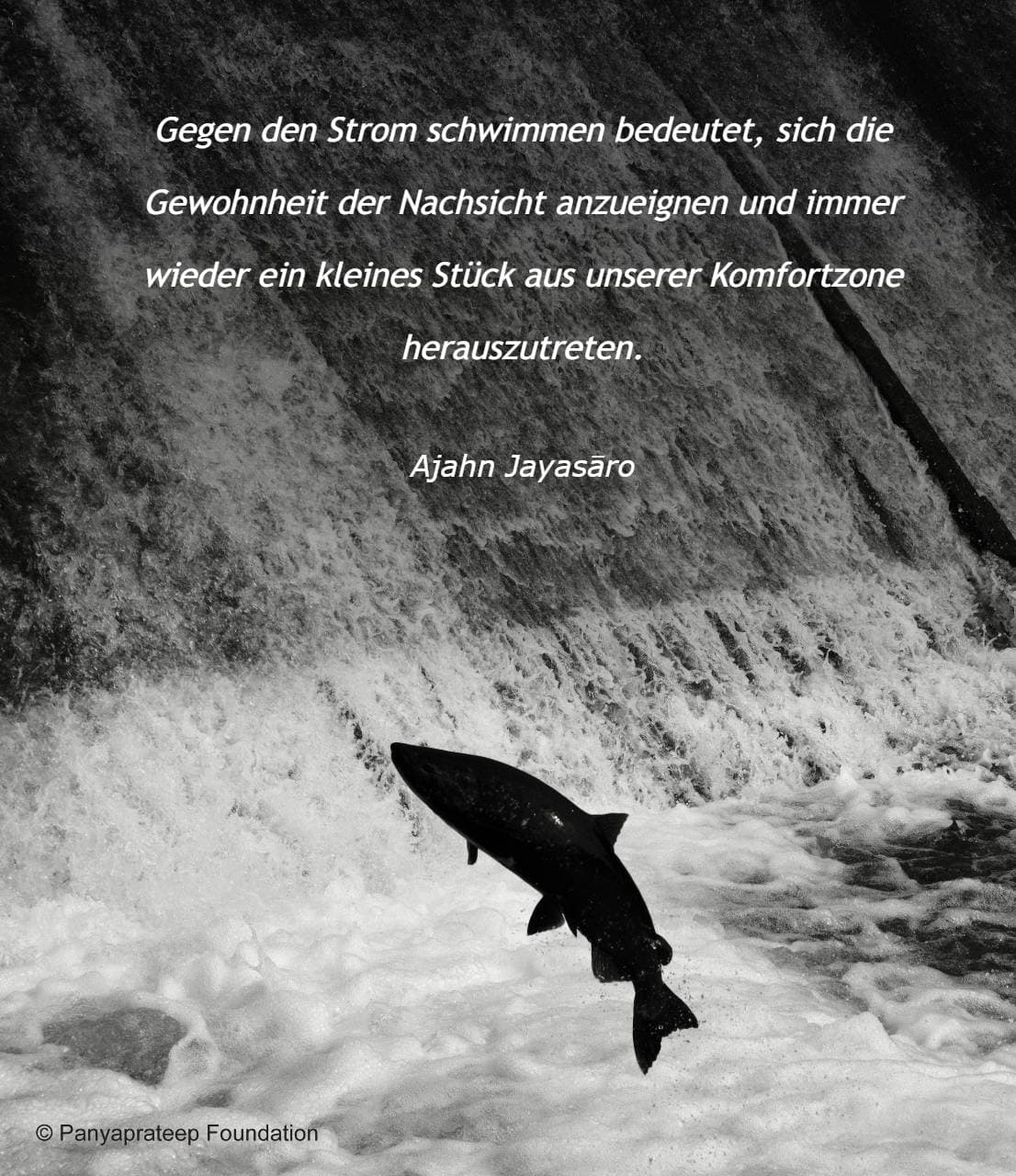 Gegen den Strom