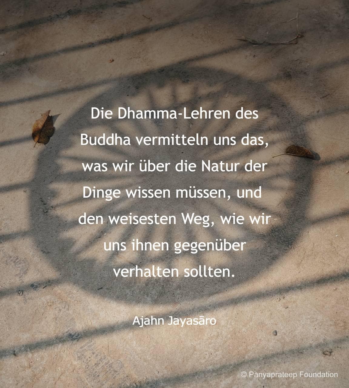 Dhamma und dhammas