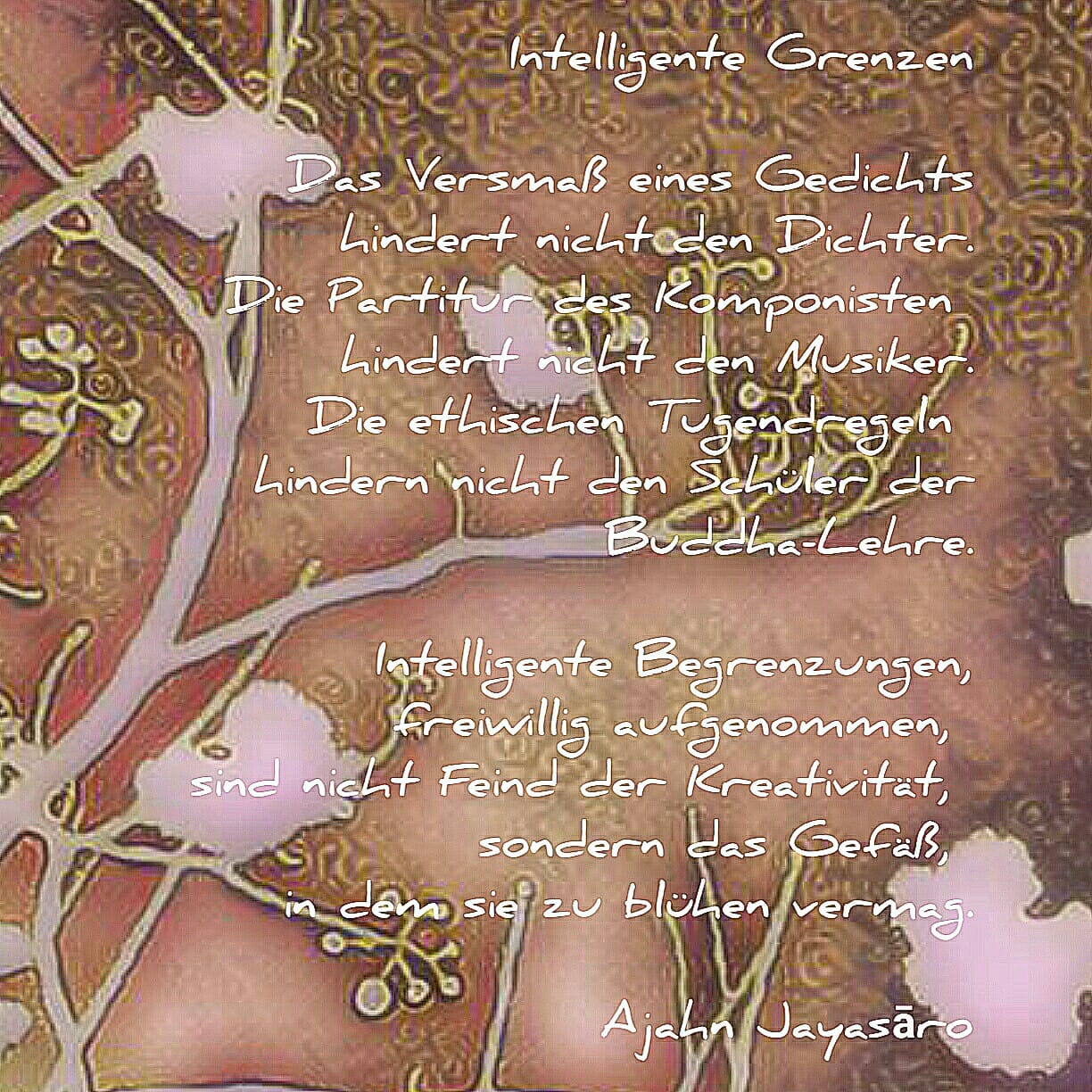 Intelligente Grenzen
