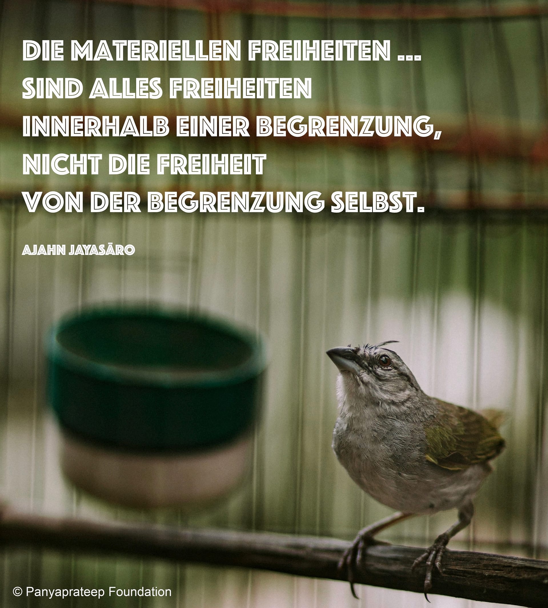 Wirkliche Freiheit