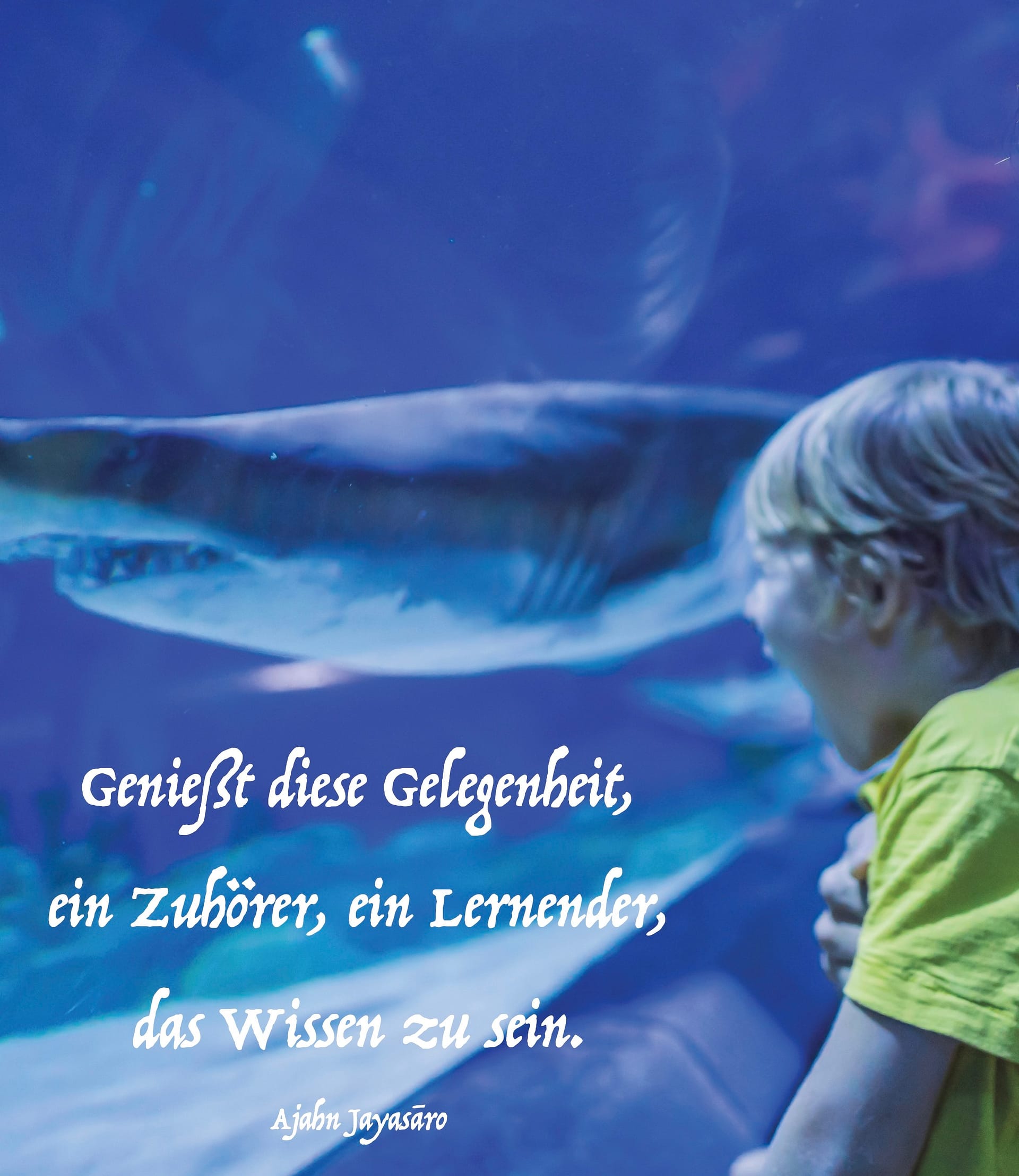 Schaut mit der staunenden Neugier eines Kindes