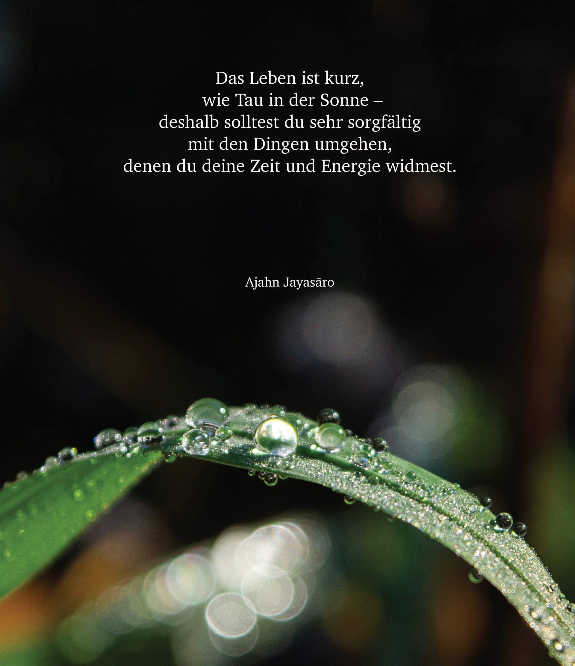 Woran sich Entscheidungen messen lassen