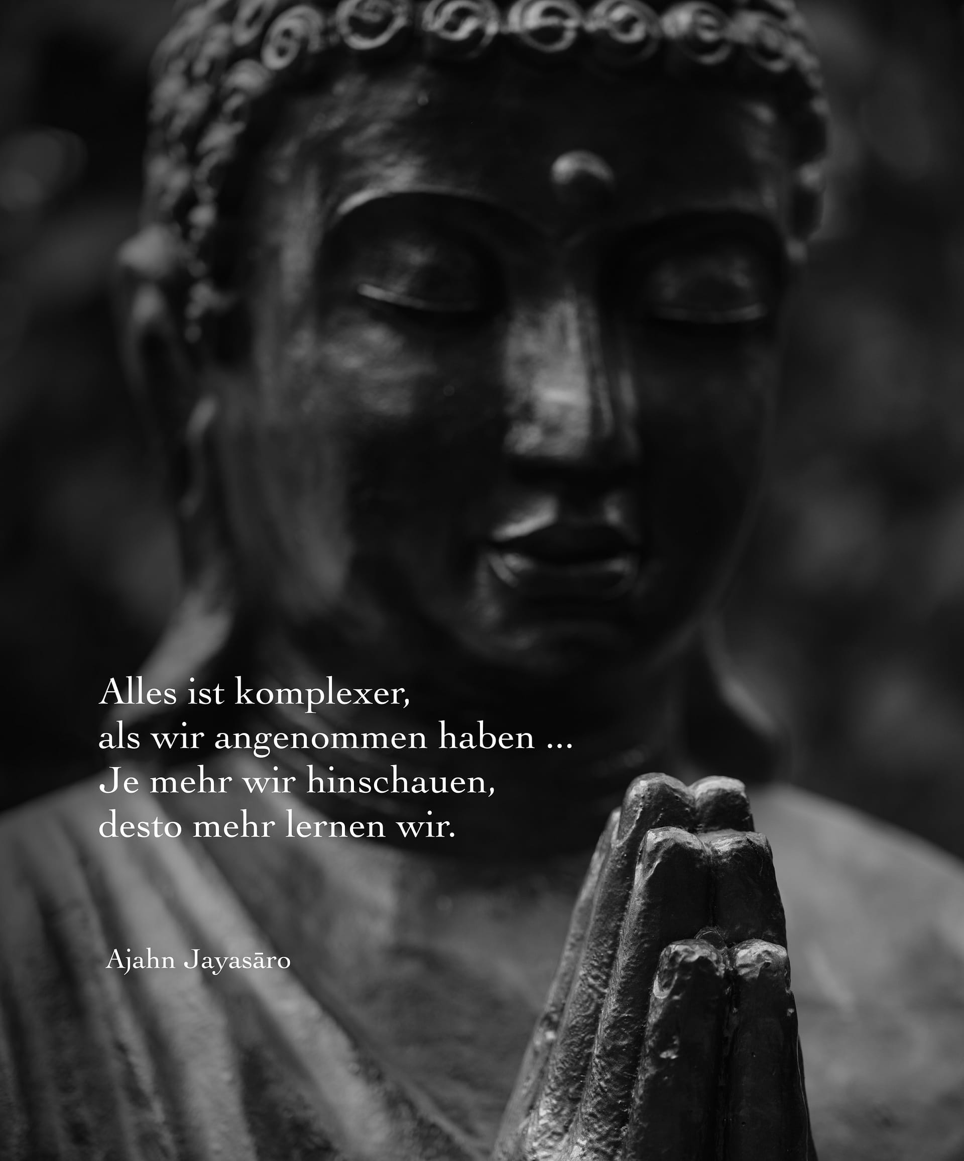 Je mehr wir hinschauen, desto mehr lernen wir