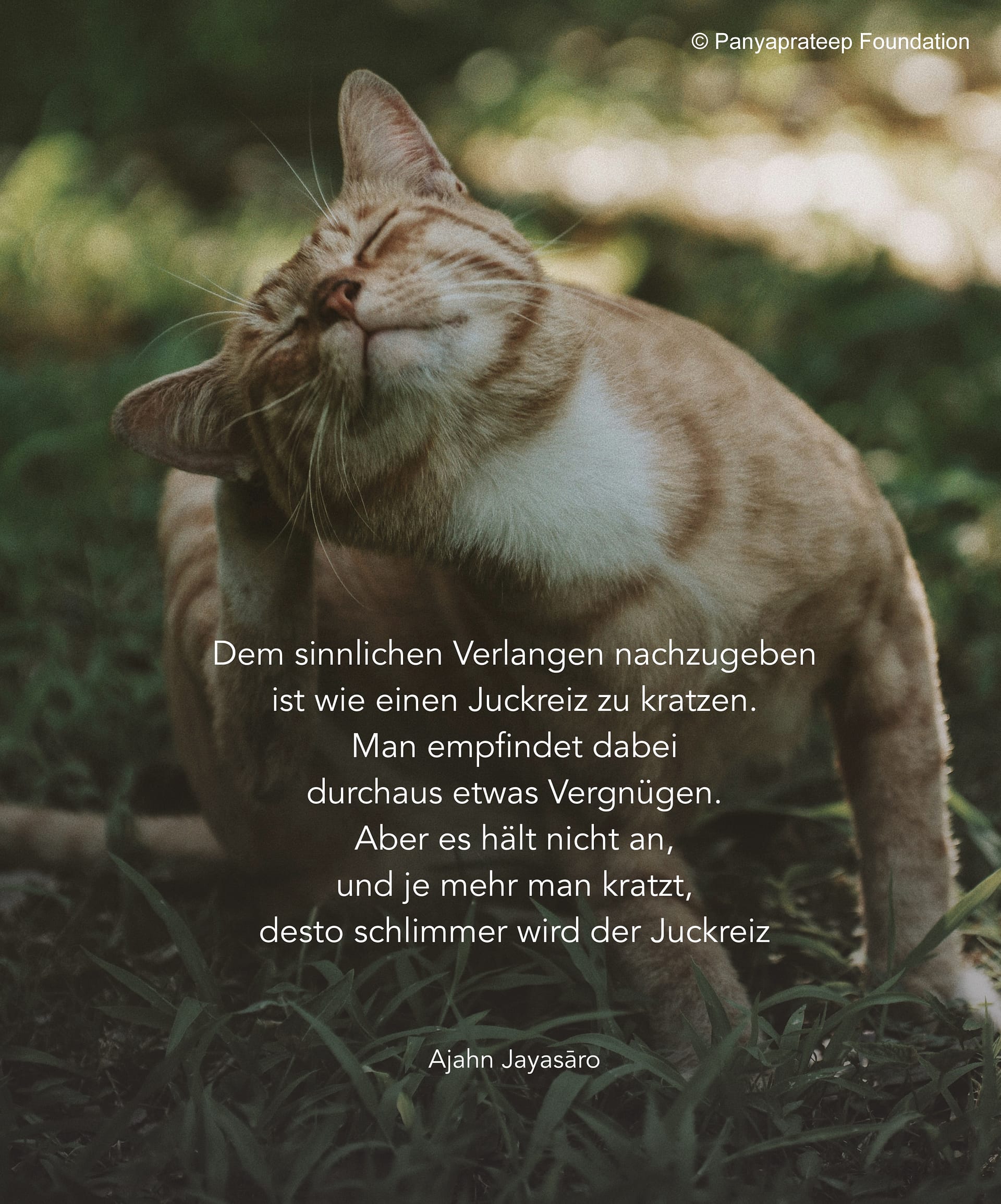 Jenseits des Juckreizes